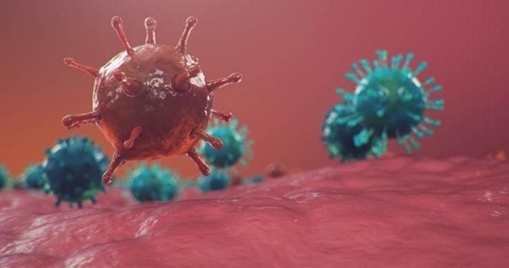 Recreación de infección por SARS-Cov-2, o coronavirus que causa a covid-19 