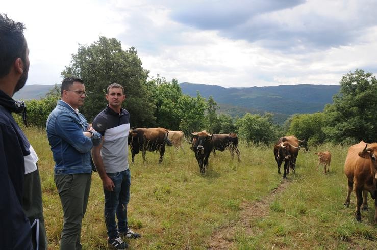 O conselleiro de Medio Rural, José González, visita a aldea modelo de Meixide, na Veiga (Ourense). XUNTA DE GALICIA