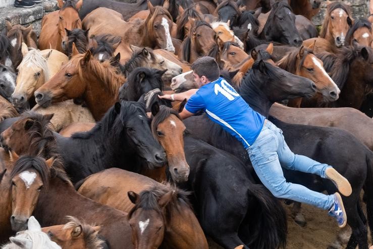 Arquivo - Cabalos e ?aloitadores? nas festas de Rápaa dás Bestas de Saucedo, na Estrada, a 28 de agosto de 2021, en Pontevedra, Galicia.. César Arxina - Europa Press - Arquivo 