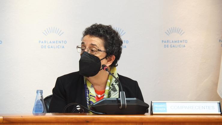 A presidenta electa do CCG, Rosario Álvarez, durante a súa comparecencia parlamentaria.. CONSELLO DA CULTURA GALEGA 