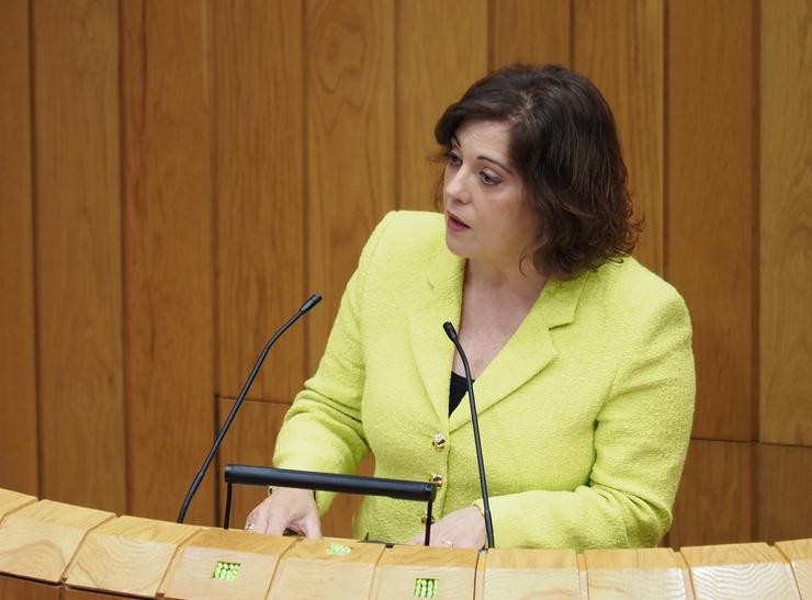 A deputada do PSdeG Begoña Rodríguez Rumbo no Parlamento.. PSDEG / Europa Press