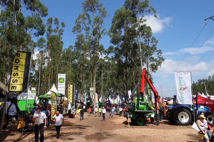 A feira Galiforest Abanca premiará este fin de semana ás mellores innovacións do sector forestal. GALIFOREST / Europa Press