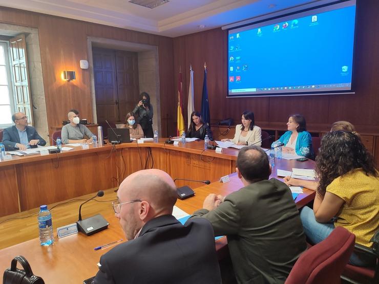 Pleno do Observatorio Galego contra a Discriminación por Orientación Sexual e Identidade de Xénero, celebrado na sede do Consello Económico e Social (CES). 