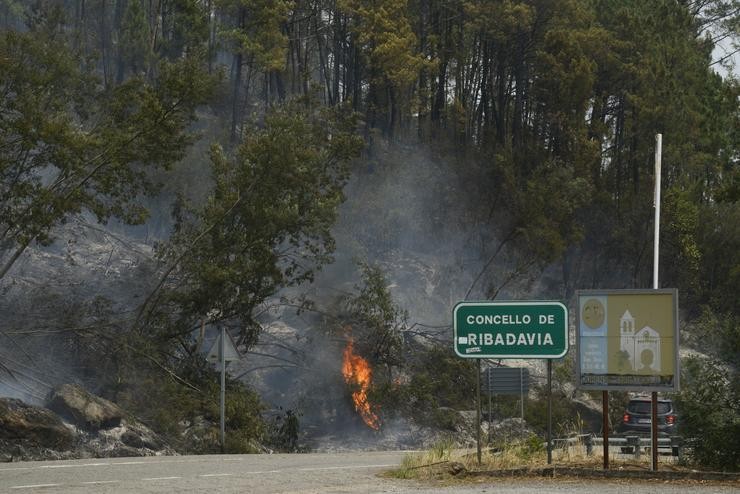 Un bosque en chamas, a 13 de xullo de 2022, en Ribadavia, Ourense, 