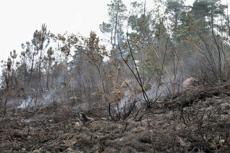 Efectivos durante os labores de extinción dun incendio, a 16 de xullo de 2022, na Pobra do Brollón, Lugo, Galicia.. Carlos Castro - Europa Press / Europa Press