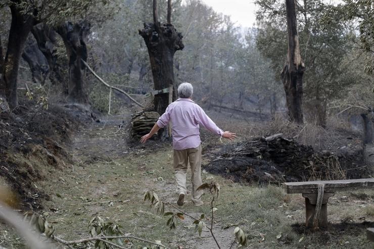 Unha persoa camiña por unha das zonas queimadas polo incendio de Folgoso do Courel /Carlos Castro - Europa Press