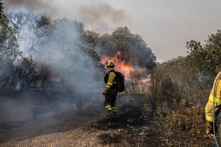 Varios bombeiros traballan na extinción dun lume. Imaxe de arquivo. Emilio Frade - Europa Press