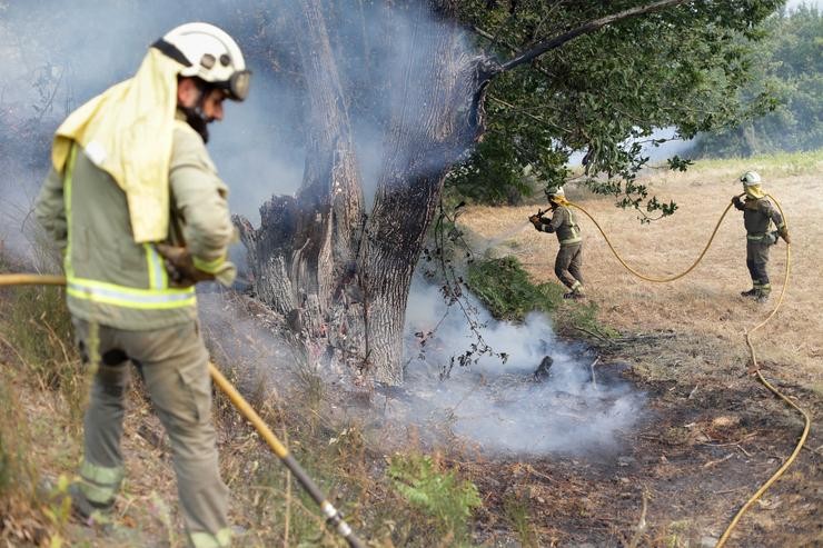 Varios bombeiros nunha imaxe de arquivo traballan na extinción dun lume / Europa Press