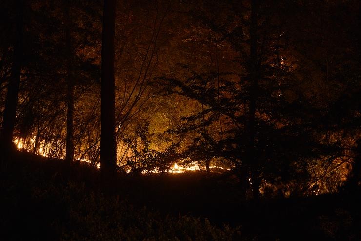 Lume nunha zona boscosa, a 28 de xullo de 2022, en Castrelo de Miño, Ourense.. Rosa Veiga - Europa Press / Europa Press