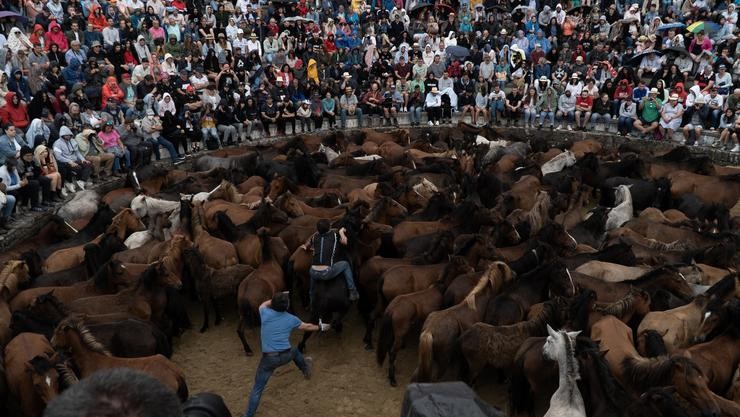 Os aloitadores achéganse aos cabalos no castro durante a Rapa das Bestas 2022, a 3 de xullo de 2022, en Sabucedo / Gustavo da Paz - Europa Press.