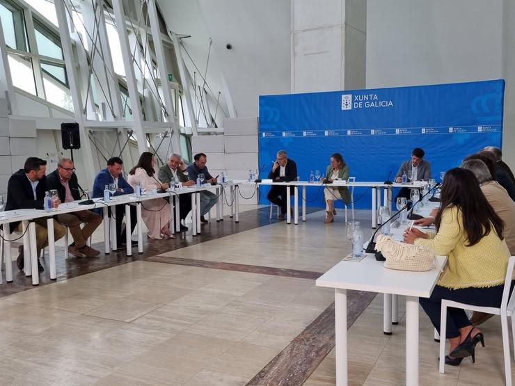 Reunión de Ethel Vázquez con alcaldes sobre a supresión de paradas de bus en liñas estatais. XUNTA / Europa Press