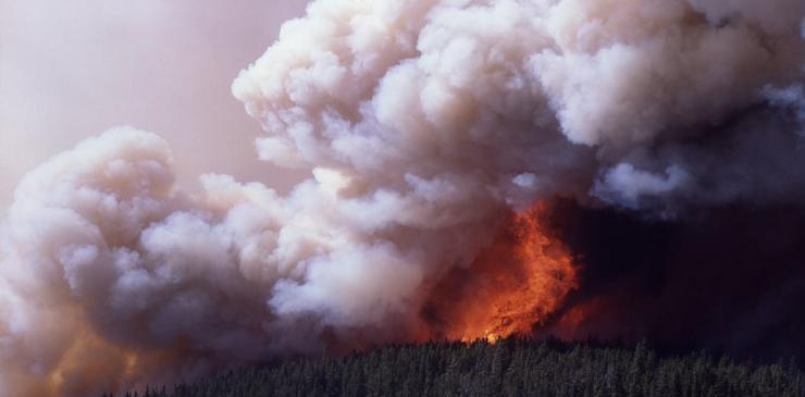 Tormenta de fogo no parque Yellowstone, en Estados Unidos, en 1988 
