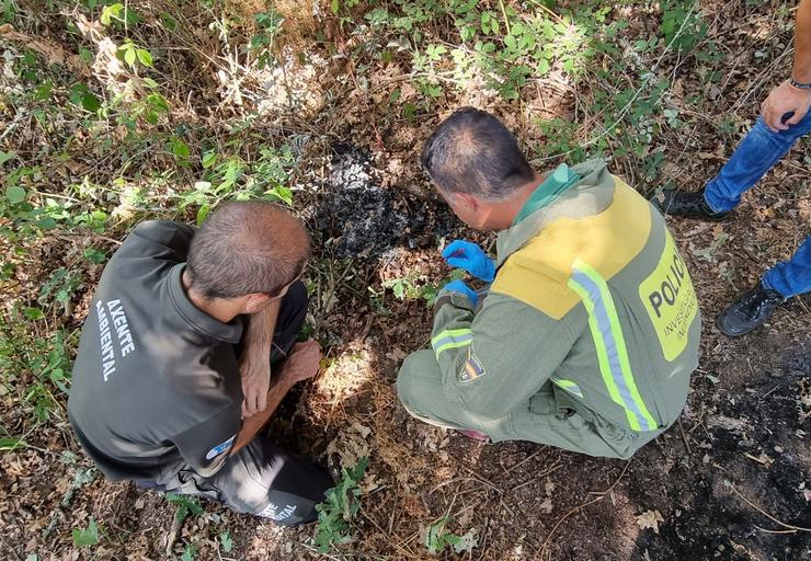 Unha muller identificada cando levaba pastillas de aceso e un chisqueiro para presuntamente prender lume nun monte de Amoeiro / XUNTA / Europa Press