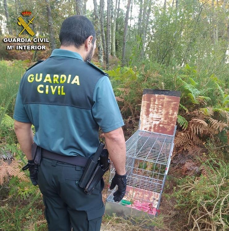 Retiran unha gaiola metálica para caza ilegal en Vilaboa (Pontevedra). GARDA CIVIL / Europa Press