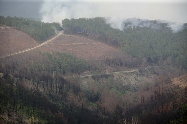 Un incendio, a 15 de xullo de 2022, en Quiroga, Lugo 