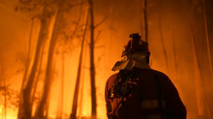 Un bombeiro traballa nun incendio forestal 