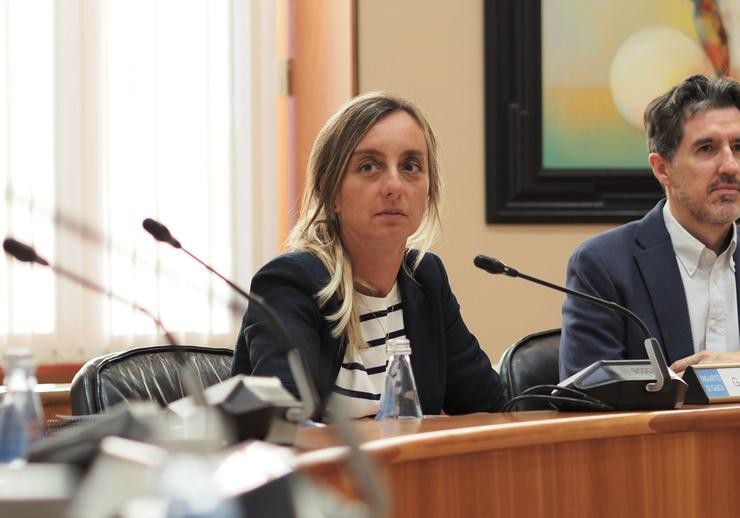 A deputada do PSdeG Pomba Castro durante unha intervención en Comisión no Parlamento galego. PSDEG / Europa Press