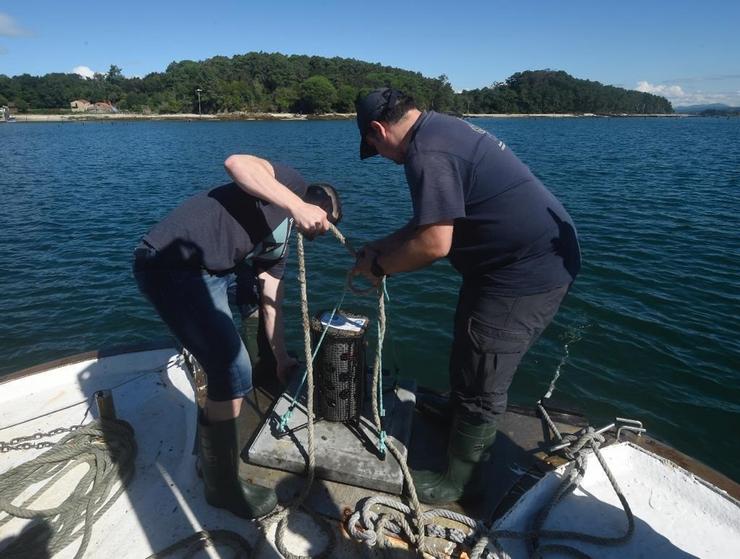 Colocación das sondas en Ulla para continuar co estudo de calidade da auga. COBRE SAN RAFEL E PARQUISTAS DE CARRIL OPP89 