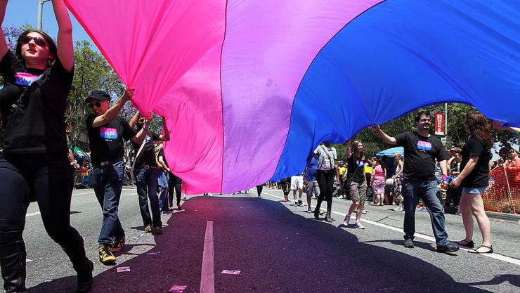 Bandeira bisexual / Arquivo