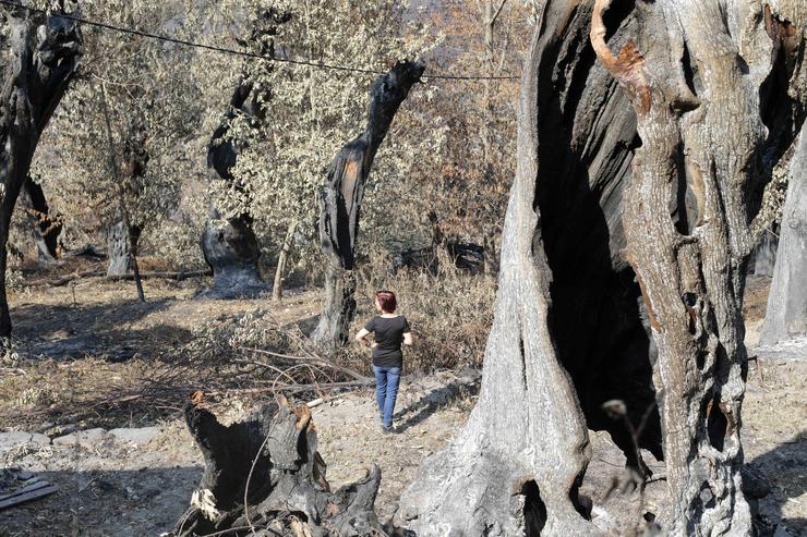 Voluntarios observan exhaustos os danos causados na serra do Courel /  Carlos Castro - Europa Press - Arquivo 