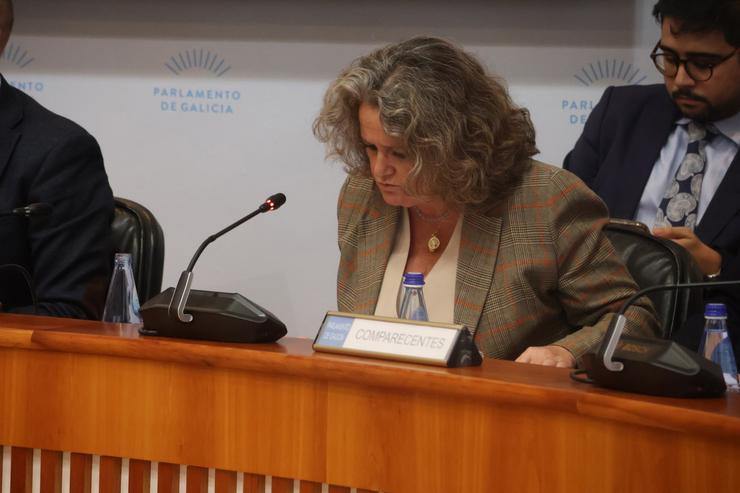 A secretaria xeral da Presidencia, Beatriz Cuiña Barja, en comisión parlamentaria 