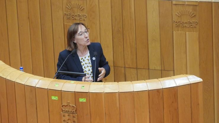 Rosana Pérez / BLOQUE NACIONALISTA GALEGO - Arquivo