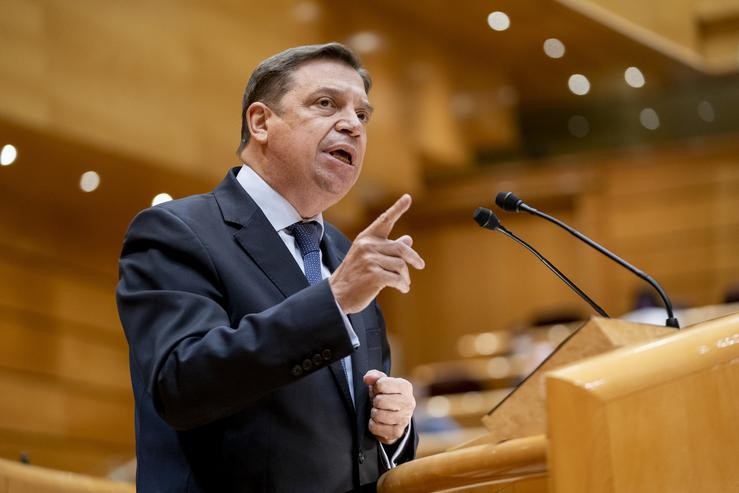 O ministro de Agricultura, Pesca e Alimentación, Luís Planas./A. Pérez Meca - Europa Press 