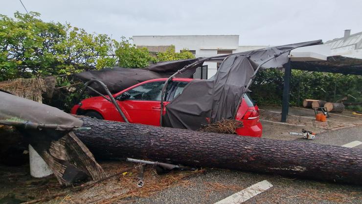 Unha árbore caída xunto a un coche, a 2 de novembro de 2023, en Vigo / Javier Vázquez - Europa Press 