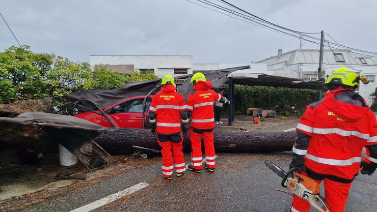 Varios bombeiros traballan en quitar unha árbore caída da estrada, a 2 de novembro de 2023, en Vigo / Javier Vázquez - Arquivo