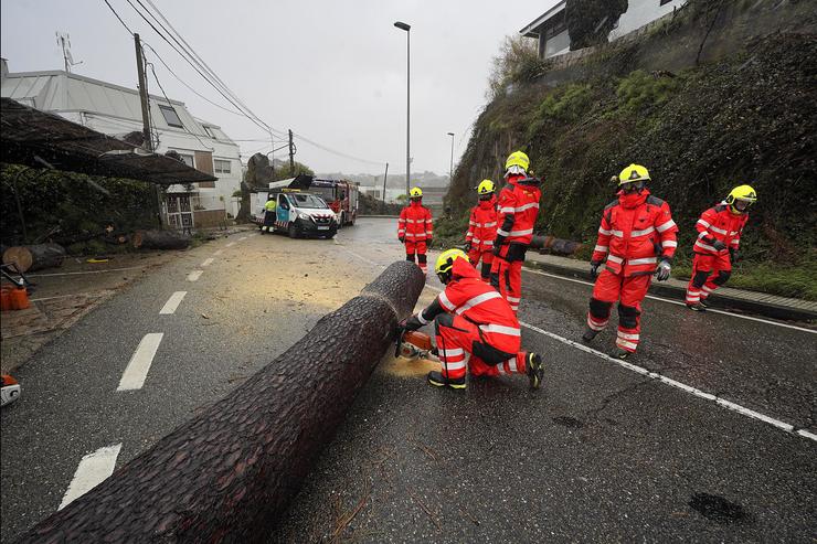 Varios Bombeiros traballan en quitar unha árbore caída da estrada, a 2 de novembro de 2023, en Vigo, Pontevedra, Galicia (España). A borrasca Ciarán está a provocar ao seu paso por Galicia un reguero de incidencias, máis de 500 xestionadas desde a central. Javier Vázquez - Europa Press 