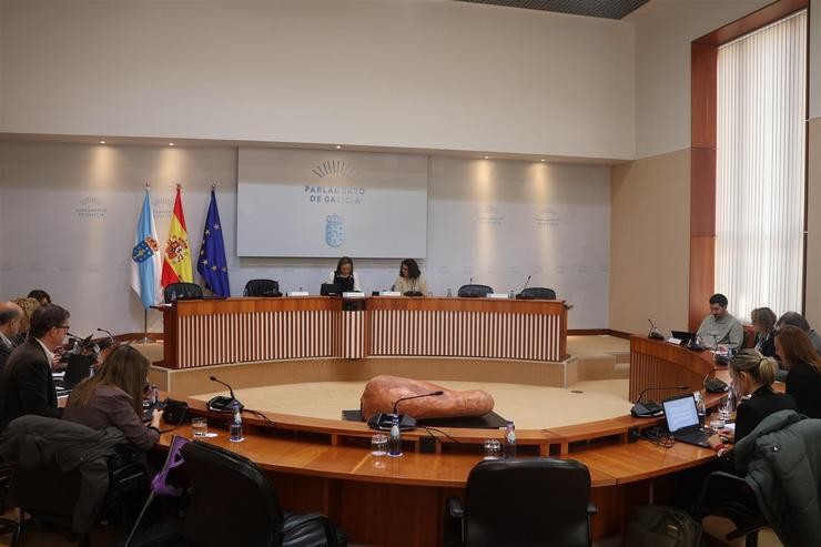 Comisión 4ª, de Educación e Cultura, do Parlamento de Galicia.. PARLAMENTO DE GALICIA / Europa Press