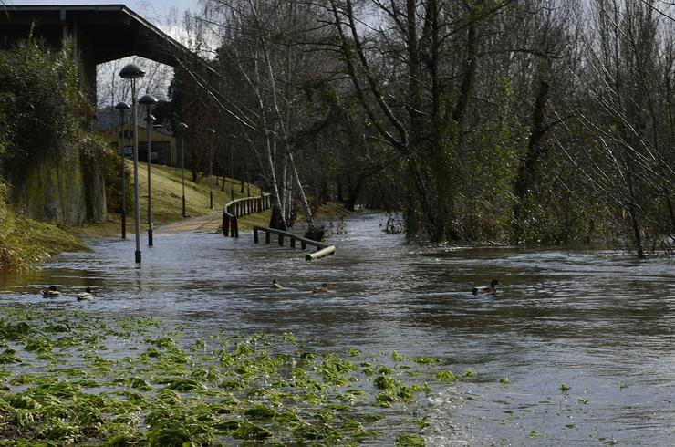 Inundacións provocadas polo desbordamento do río Miño, a 18 de xaneiro de 2023, en Xunqueira  de Espadanedo / Rosa Veiga - Arquivo