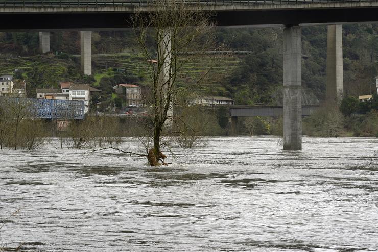 O río Miño ao seu paso por Vos Peares, a 20 de xaneiro de 2023, en Vos Peares, A Peroxa, Ourense, Galicia.. Rosa Veiga - Europa Press / Europa Press