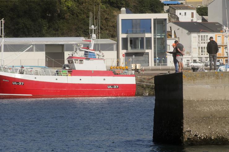 Mariñeiros no Porto de Burela / Carlos Castro - Europa Press 