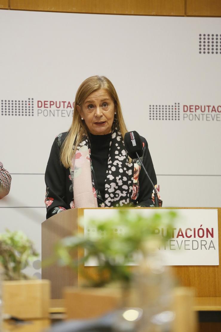 A presidenta da Deputación de Pontevedra, Carmela Silva, en rolda de prensa 
