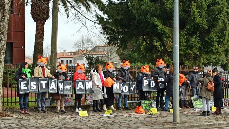 Ecoloxistas disfrazados de raposos protestan ante a Consellería de Medio Ambiente para esixir o fin de 'matanzas' 