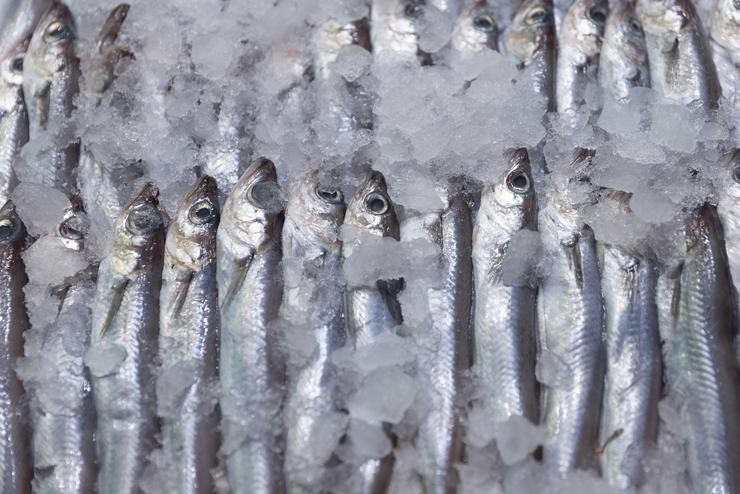 Sardiñas expostas nunha pescadería dun mercado, a 15 de marzo de 2023, en Madrid (España). O Índice de Prezos de Consumo (IPC) subiu un 0,9% en febreiro en relación ao mes anterior e elevou unha décima a súa taxa interanual, ata o 6%, polo encare. Eduardo Parra - Europa Press