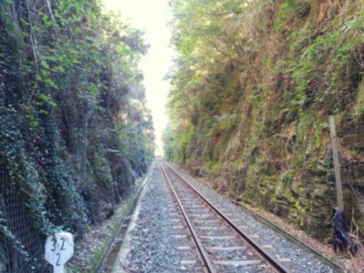 Rede de ancho métrico galega entre Ferrol e Ortigueira. ADIF