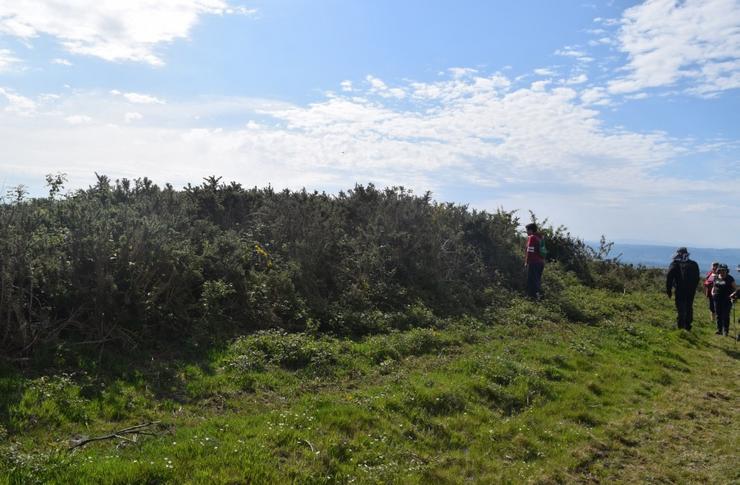 Unha mámoa do Monte de Meda que será afectada polo parque eólico do Picato / Adega