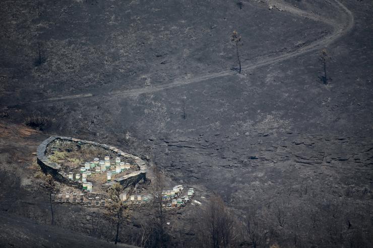 Vista xeral da zona afectada polo lume de Folgoso do Courel / Carlos Castro - Europa Press