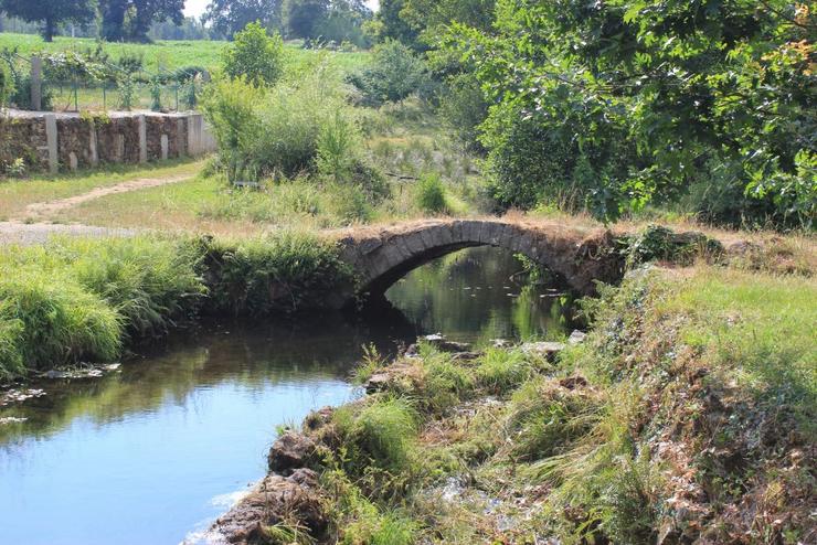 Río Ferreira en Palas de Rei