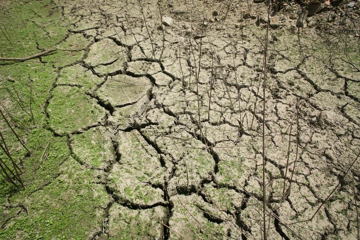 Encoro de Belesar no Río Miño, a 3 de agosto de 2023, en Lugo / Carlos Castro