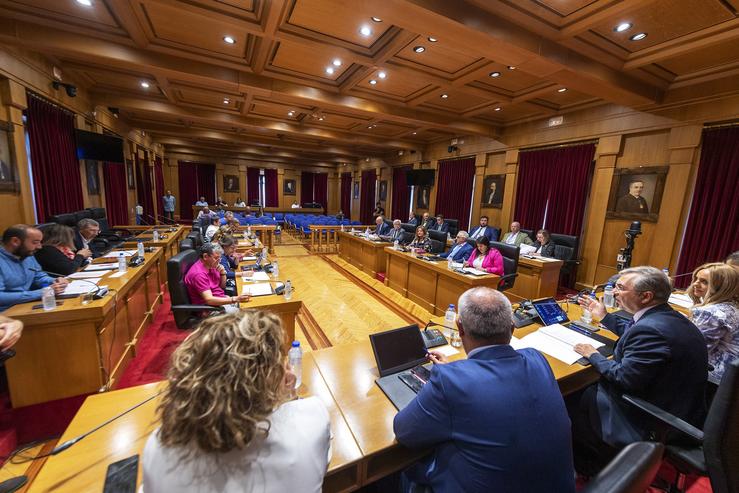 Deputación de Ourense pleno extraordinario de organización 