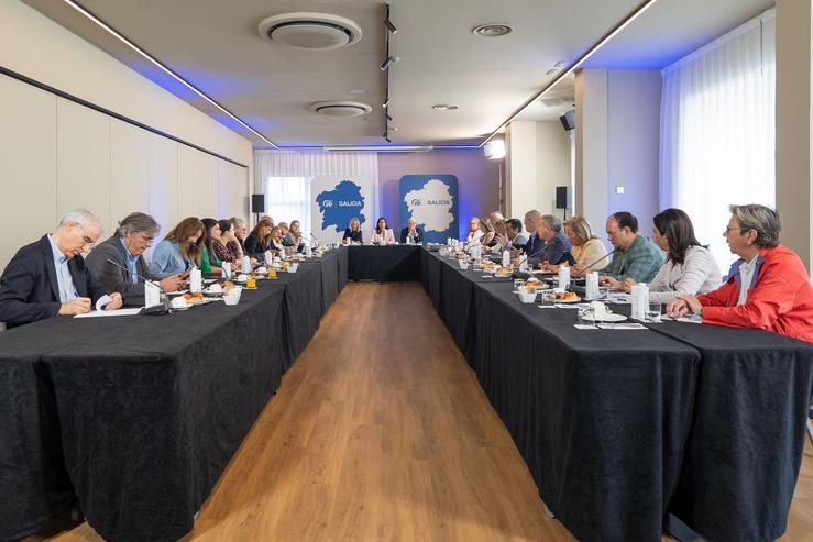Reunión dos senadores e deputados do PP de Galicia 