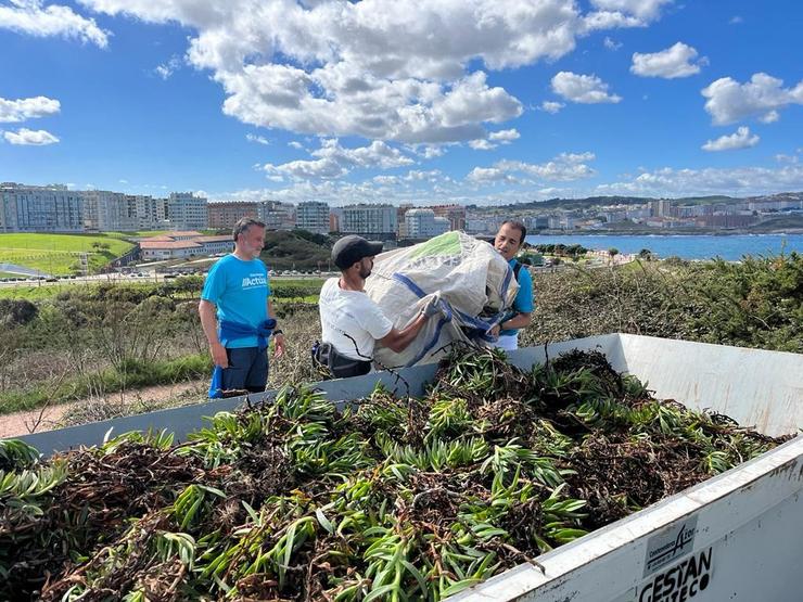 Voluntarios na contorna da Torre de Hércules, na Coruña. AFUNDACIÓN / Europa Press