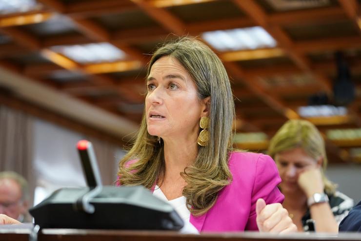 A senadora do PP Pepa Pardo.. PP / Europa Press