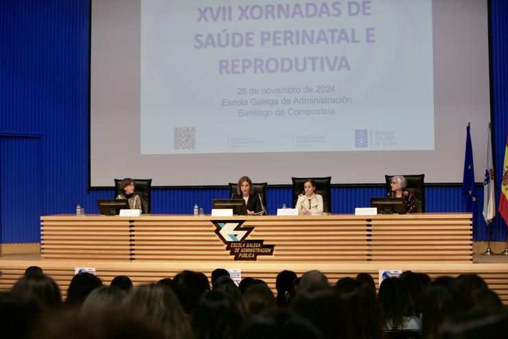 A secretaria xeral técnica da Consellería de Sanidade, Natalia Lobato, nas XVII Xornadas de Saúde Perinatal e Reprodutiva.. XUNTA / Europa Press