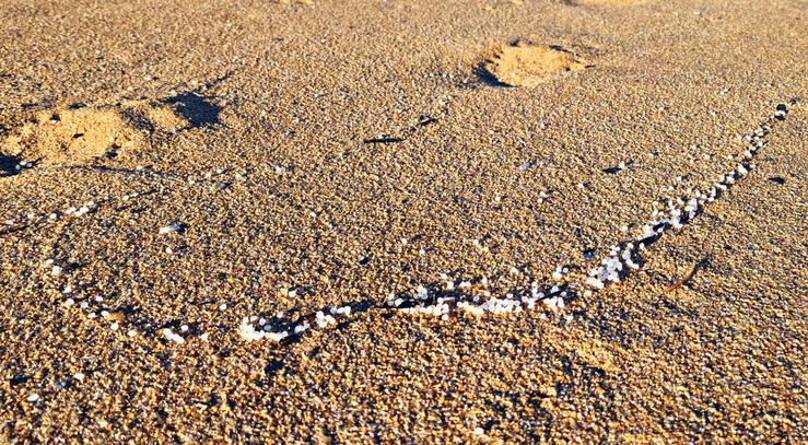 Pélets na praia do Espiñeirido, a 11 de xaneiro de 2024 / GC