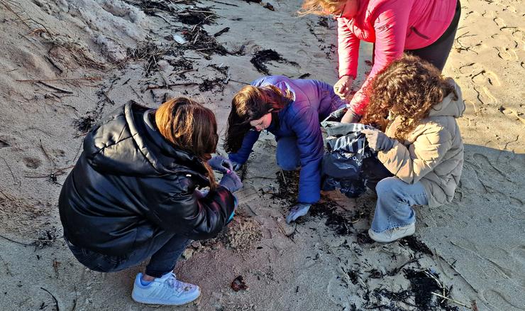 Estudantes do IES Porto do Son colaboran na recollida dos pélets na praia de Cabeiro 