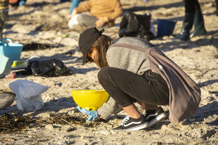 Varios voluntarios recollen pellets na praia de Panxón, a 11 de xaneiro de 2024, en Pontevedra 
